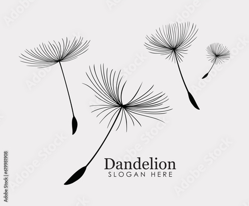 Dandelion flower logo simple creative template on white background . 