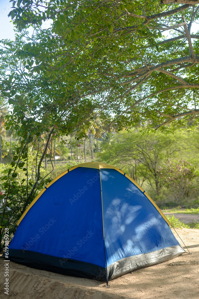 tent in the forest, camping in the forest, blue camping tent, camping tent in the forest, camping tent under the tree, camping tent
