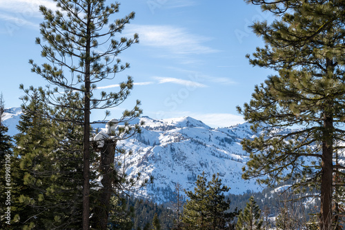 View of the mountains of Squaw Valley at a distance, on a mostly sunny blue sky day, from between the pine trees in California's sierra nevada in winter