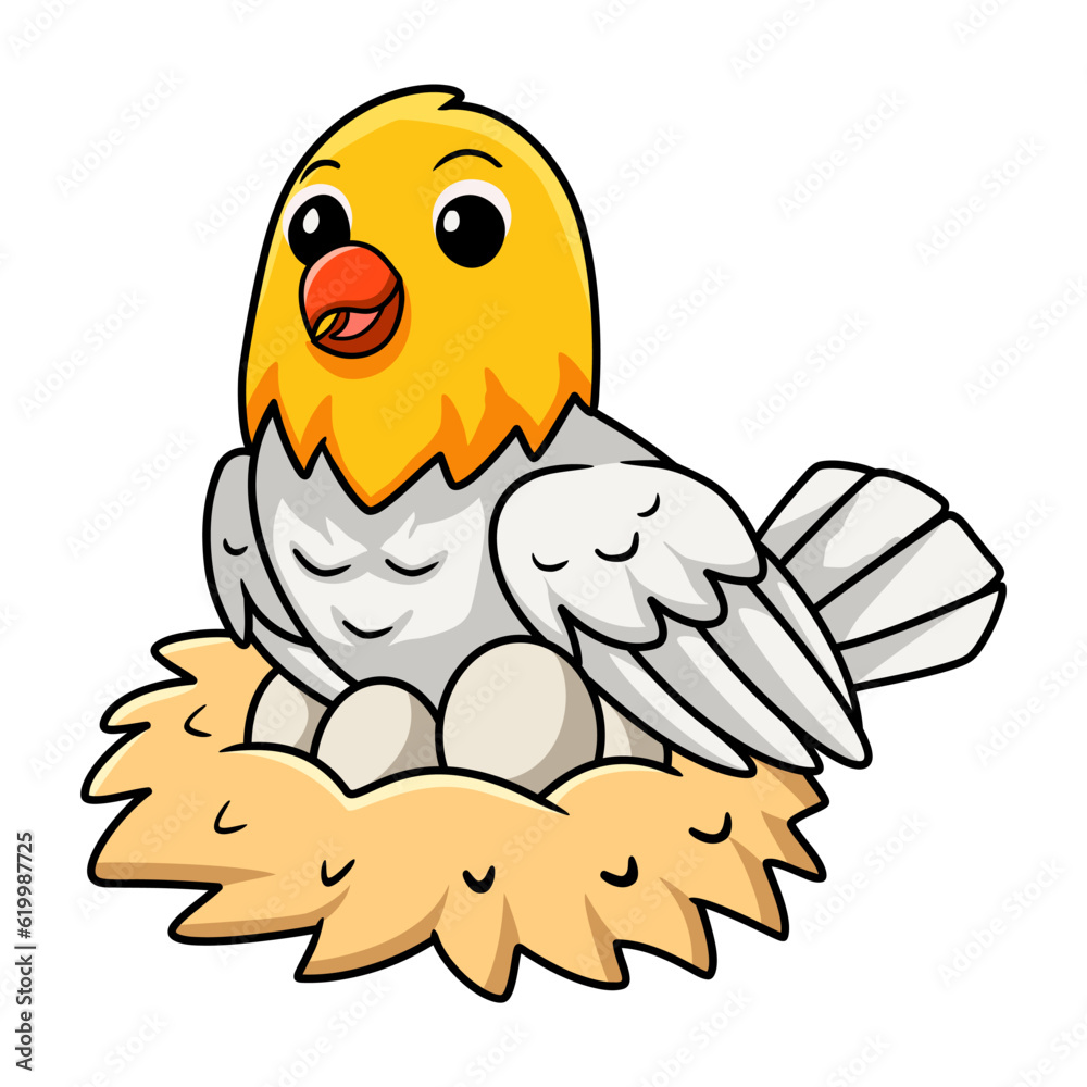 Cute opaline pale fallow lovebird cartoon with eggs in the nest Cute opaline pale fallow lovebird cartoon with eggs in the nest