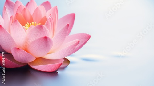 Close up pink lotus flower plant with green leaves  with text space can use for advertising  ads  branding