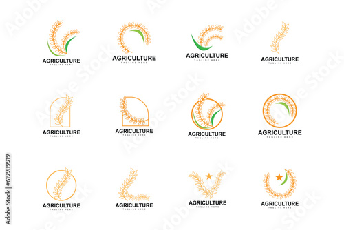 Rice Logo, Farm Wheat Logo Design, Vector Wheat Rice Icon Template Illustration