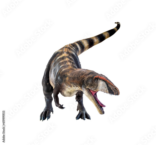 dinosaur , Carcharadontosaurus isolated background