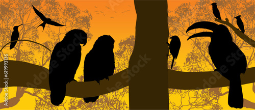 avez, figuras, cotorros, loros, tucan, gaviota, ave, colibri, bosque, arbol, ramas