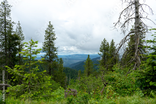 North Idaho Mountain Lake