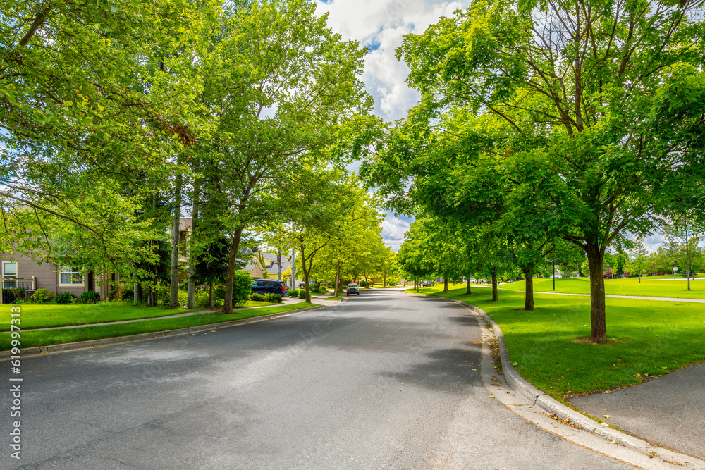 A shady tree lined street in a subdivision of homes across from a park in the suburban city of Coeur d'Alene, Idaho USA.