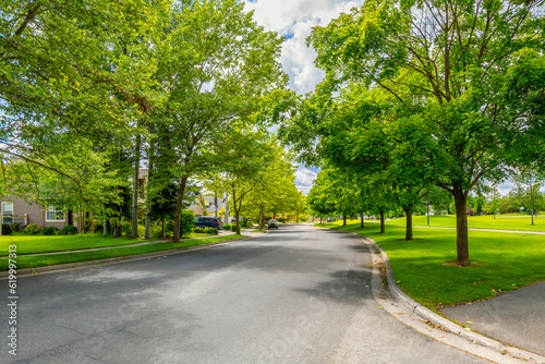 Fototapeta Naklejka Na Ścianę i Meble -  A shady tree lined street in a subdivision of homes across from a park in the suburban city of Coeur d'Alene, Idaho USA.