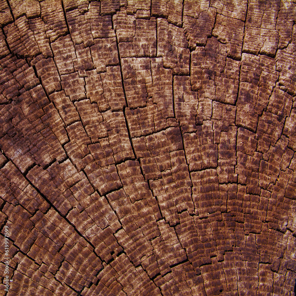 Fototapeta premium Grunge wooden background, shabby texture, background pattern in vibrant color, empty