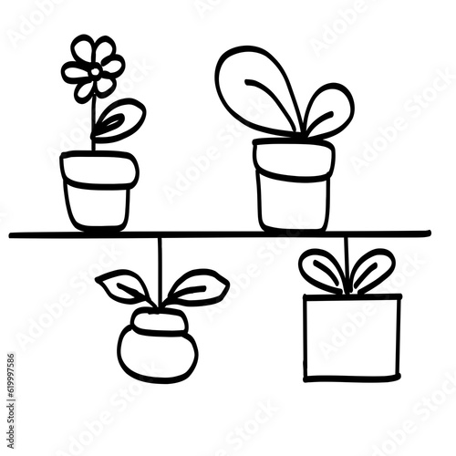 plant in a pot