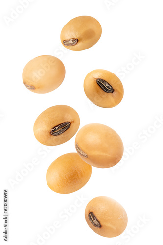 Soybeans levitation isolated on white background.