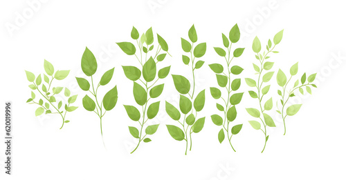set of watercolor green leaves on transparent background, generative ai