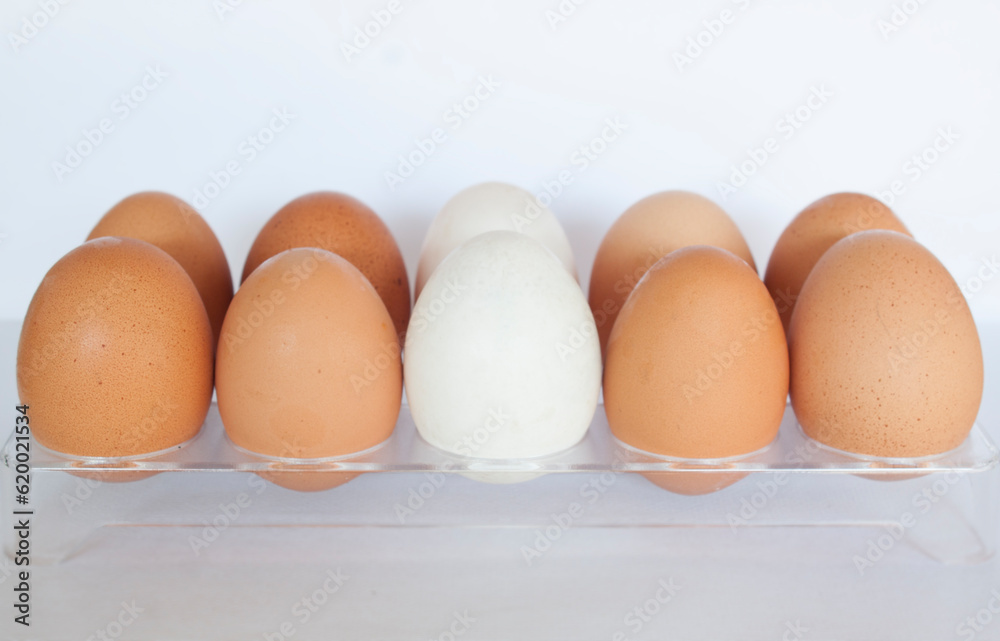 eggs in a box eggs in a box