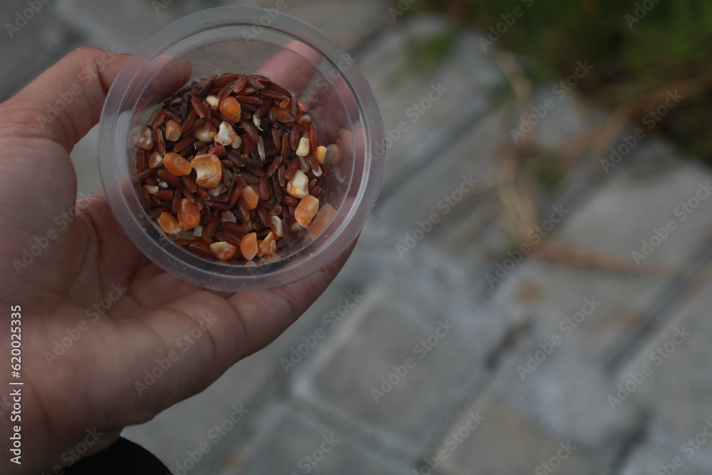 a person holding a handful of grains a person holding a handful of grains