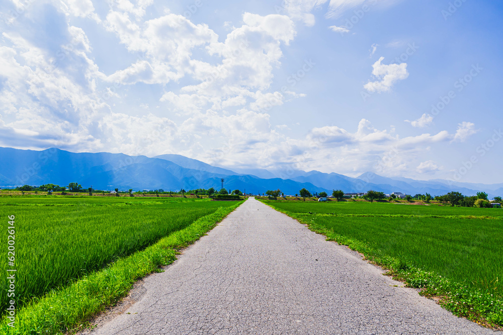 真っすぐ伸びる道と田園風景 真っすぐ伸びる道と田園風景