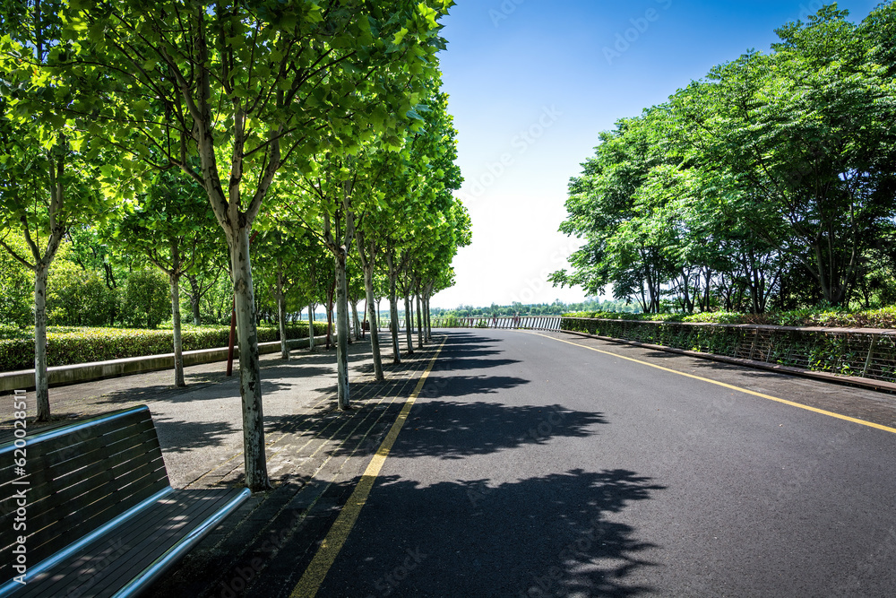 Asphalt road in modern city park