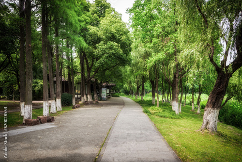 Nice green forest landscape in the city