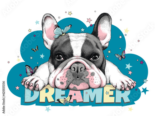 Cute  lying french bulldog with butterflies and stars. Dreamer illustration. Stylish summer picture for printing on any surface photo