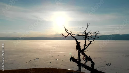 Flight to the cape or the rock on the island of Olkhon. Lake Baikal on a sunny spring evening. Ice melting time on the lake, ice drift. The silhouette of an old dry tree. photo