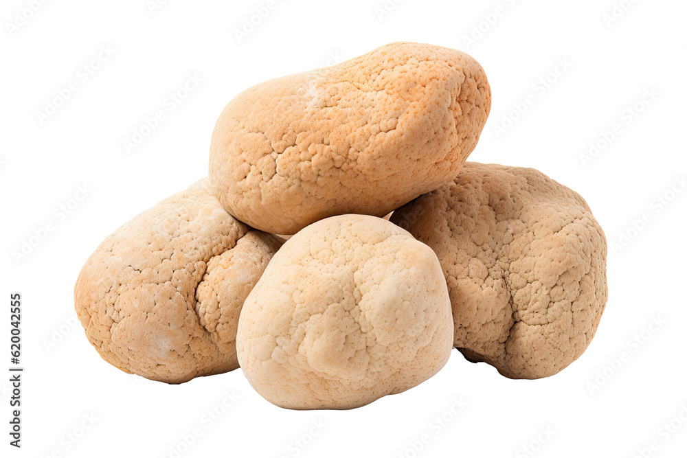 Smooth Boulder Coral on transparent background (PNG). Generative AI. Smooth Boulder Coral on transparent background (PNG). Generative AI.