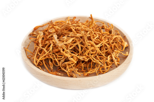 dry cordyceps militaris mushroom in wood plate isolated on white background. pile of dry cordyceps militaris mushroom isolated. dry cordyceps militaris mushroom isolated photo