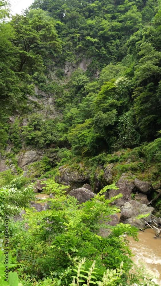 高い崖と緑に囲まれた渓谷の風景。奥多摩の鳩ノ巣渓谷で撮影。 高い崖と緑に囲まれた渓谷の風景。奥多摩の鳩ノ巣渓谷で撮影。