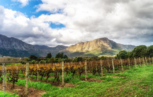 Franschhoek wineland area, South Africa photo