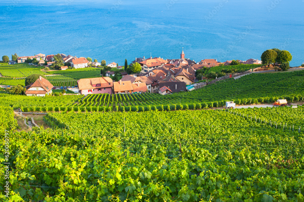 Vineyards in Bourg-en-Lavaux over lake Leman