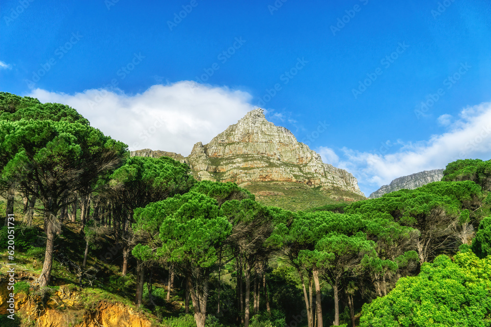The Beautiful Table Mountain, Cape Town, South Africa The Beautiful Table Mountain, Cape Town, South Africa