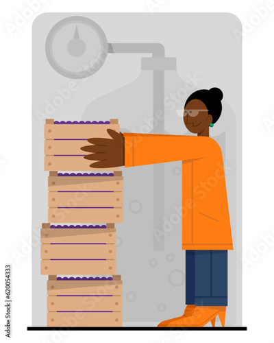 Professional woman standing near box with grapes, stacks products. Making organic wine. Winemaking process with natural grapes. Time for making alcohol drinks. Wine production industry. Vector flat