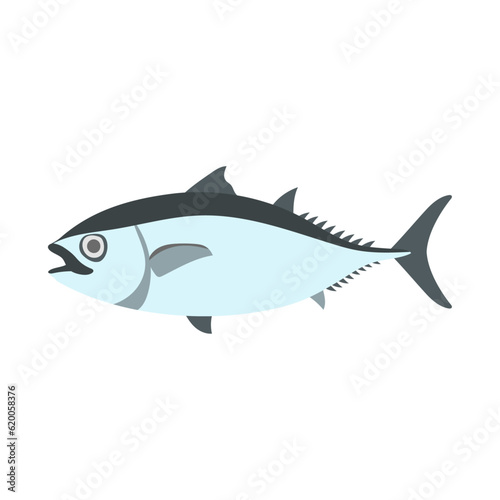                                                                                   Pacific bluefin tuna. Flat designed vector illustration.