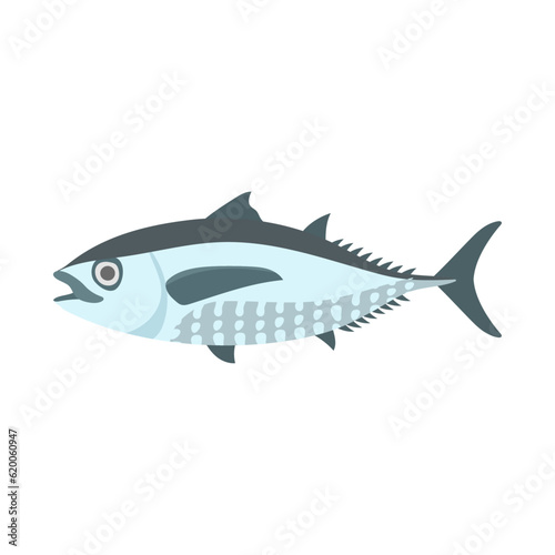 コシナガマグロ。フラットなベクターイラスト。 Longtail tuna (spot-side tuna). Flat designed vector illustration.