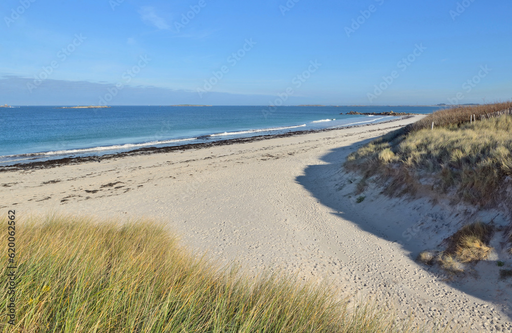 seascape view from grassy dune on a beach  under blue sky in Brittany - France