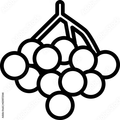 Longan