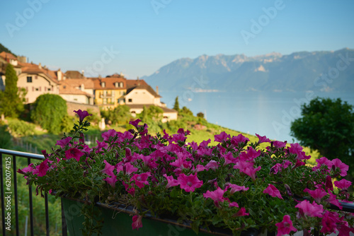 village in the mountains with flowers