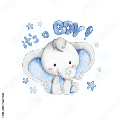 Watercolor Illustration Baby Swower card