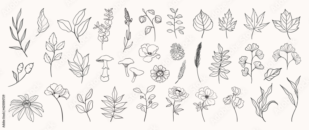 Set botanical hand drawn vector element. Collection of foliage, mushroom, floral, oak leaf, maple leaves in line art. Autumn season blossom illustration design for logo, wedding, invitation, decor.