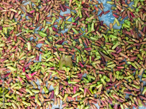 Selective focus. A stretch of fresh cloves being dried in the hot sun. Drying raw red green cloves sticks. Raw spices and herb.
