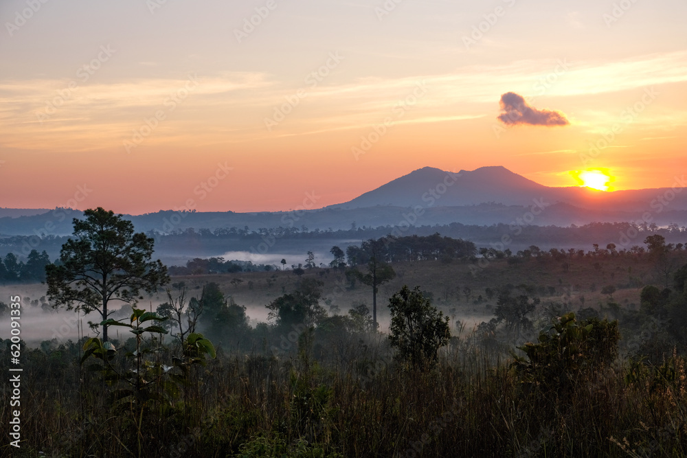 Obraz premium Beautiful and fertile forest landscape, winter During a foggy sunrise morning in Thung Salaeng Luang National Park, Thailand. Travel concept.