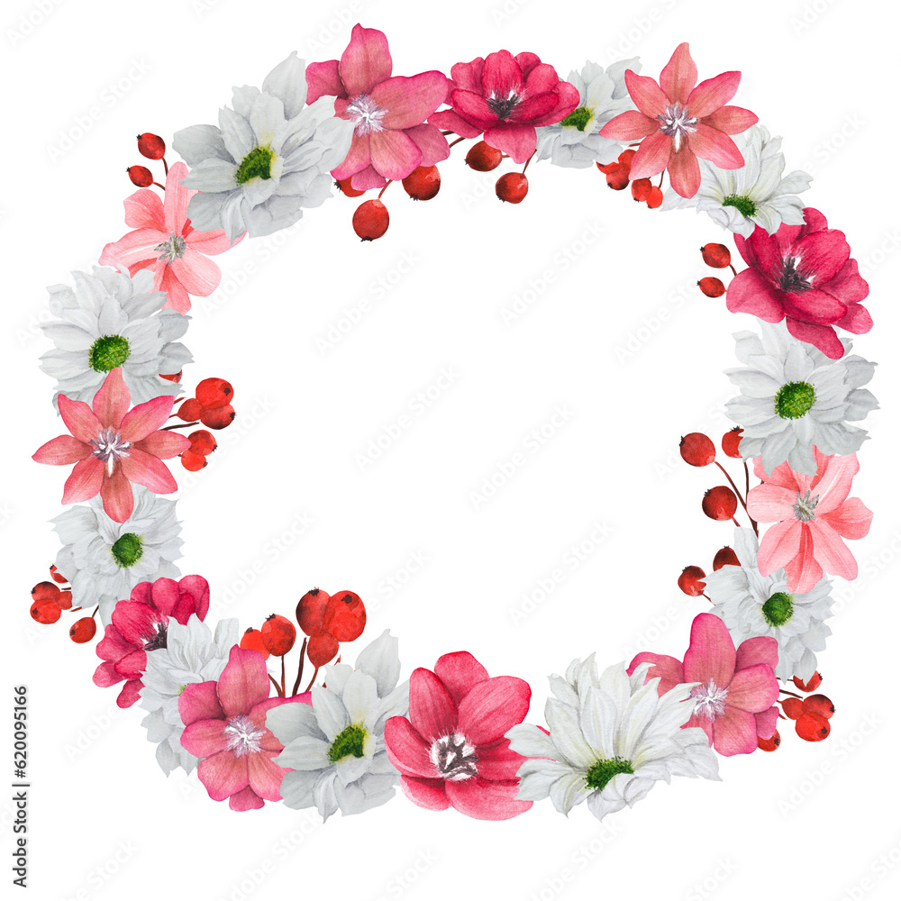 Hand-drawn watercolor floral wreath with red and white flowers and red berries. Two options - on white and transparent background