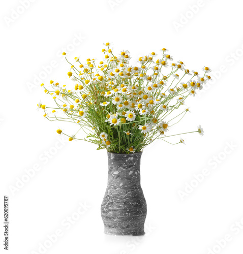 Bouquet of field daisies in a gray handmade clay vase on a white background.