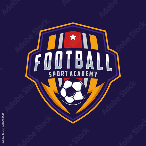 Vintage badge emblem Football soccer sport team club league logo with shield and ball concept icon vector