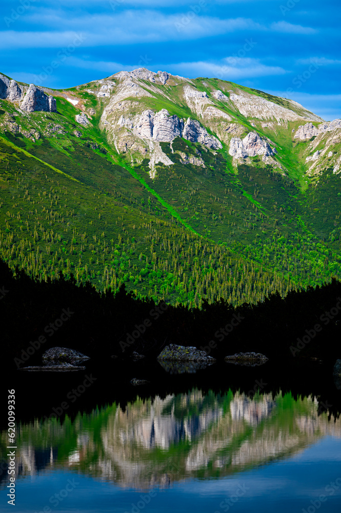 Obraz premium A view of the Belianske Tatras from the Zelene Pleso Valley in the High Tatras. Tatra National Park, Slovakia.