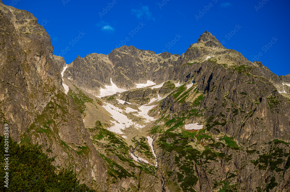 Obraz premium Summer landscape of the High Tatras in the vicinity of Zelene Pleso. Tatra National Park, Slovakia.