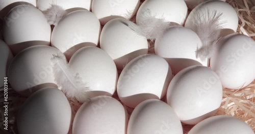White eggs with feathers rotate on straw macro 