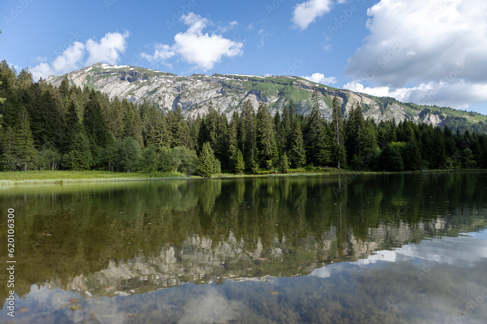 Naklejka premium French mountainous meltwater Gold Mines Lake near Morzine village with impressive rock formations rising above the pine tree forest along the still water reflecting the natural scene. Aerial nature