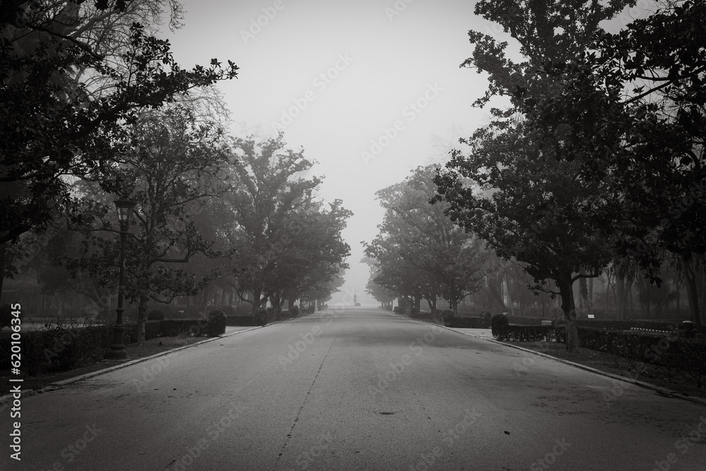 Sevilla en Blanco y negro y con niebla Sevilla en Blanco y negro y con niebla