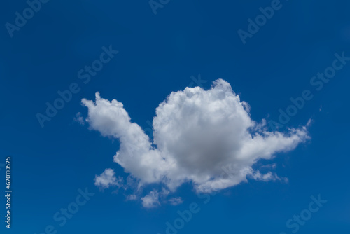 Fototapeta Naklejka Na Ścianę i Meble -  Fresh blue sky with floated white soft and fluffy clouds shown shaping like a snail creep or crawling. Background for kid education or imagination learning for children. Image of the animal cloud.