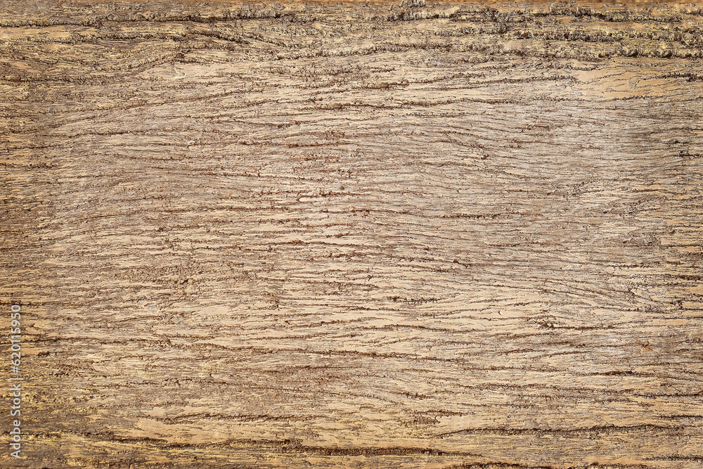 Wood plank brown texture abstract background. Wood plank brown texture abstract background.