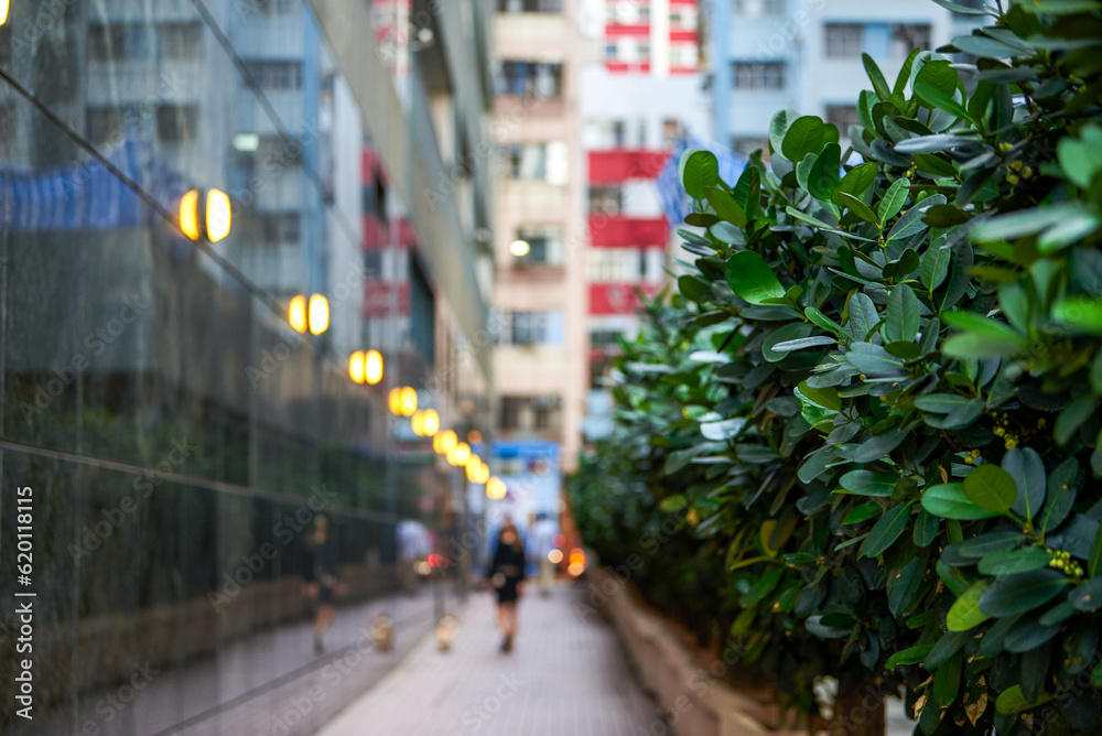 Aisle between buildings on the streets of Hong Kong