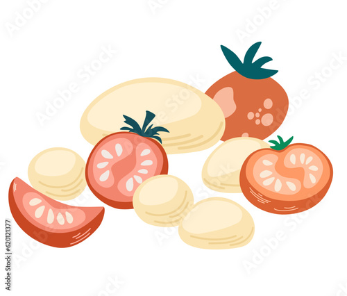 Mozzarella cheese with tomatoes. Organic healthy farm food concept. Food collection. Vector Hand draw Illustration isolated on the white background. 